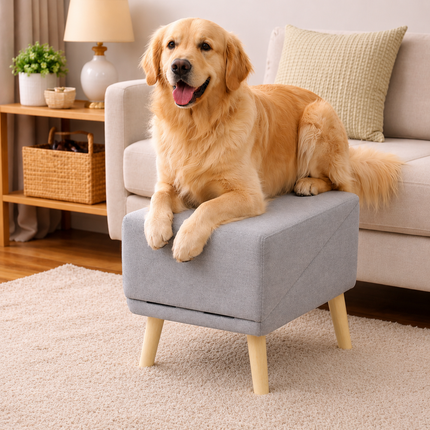Pet Mobility Solutions | Dog Ramp & Steps with Non-Slip Surface | Foldable Design for Easy Access to Beds and Cars 2