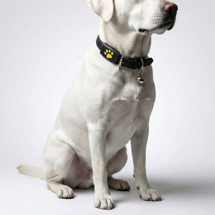 Pet Tracker Pro | GPS Dog Collar with App Location & Long Battery Life | Lightweight Design for Peace of Mind 2