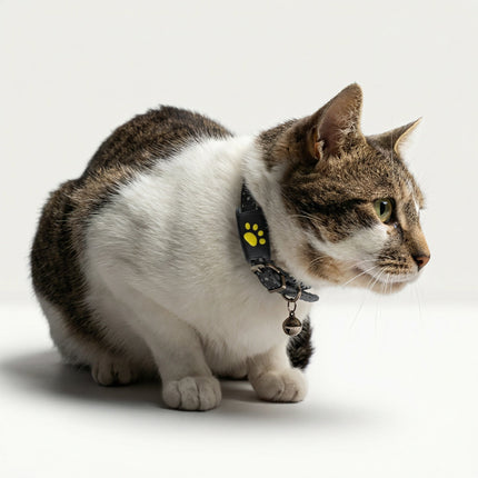Pet Tracker Pro | GPS Dog Collar with App Location & Long Battery Life | Lightweight Design for Peace of Mind 3