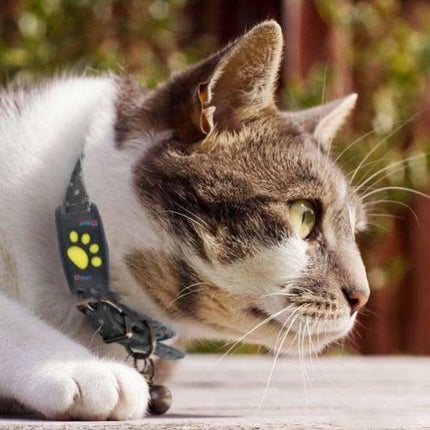 Pet Tracker Pro | GPS Dog Collar with App Location & Long Battery Life | Lightweight Design for Peace of Mind 6