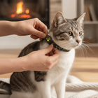 Pet Tracker Series | GPS Cat Collar with Real-Time Location Updates | Lightweight Design for Cat Safety 0
