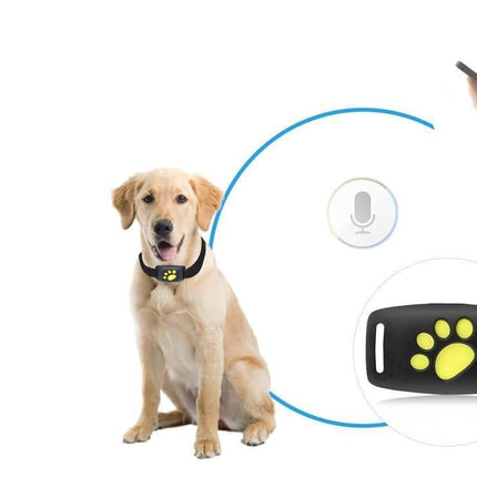 Pet Tracker Series | GPS Cat Collar with Real-Time Location Updates | Lightweight Design for Cat Safety 2