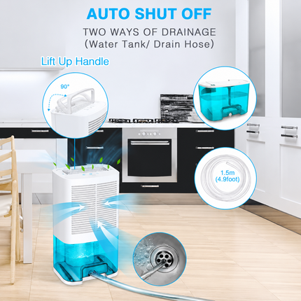 Portable Dehumidifier | Efficient Moisture Remover with Quiet Operation | Ideal for Home, RV, and Bathrooms 1