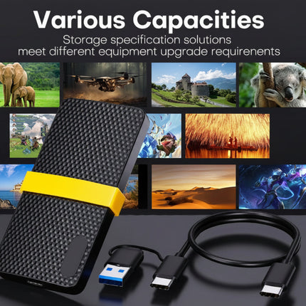 Portable SSD | External Hard Drive with USB 3.1 Type C | Compact Design for Fast Data Access 4