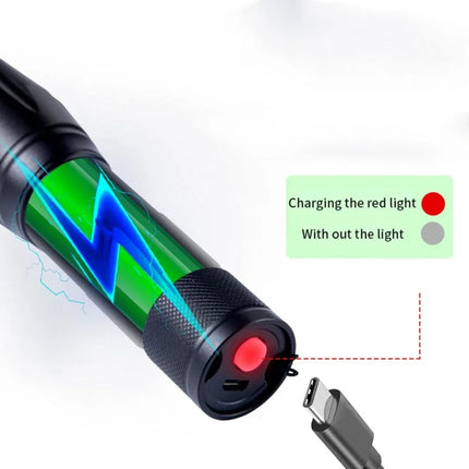 Portable UV Blacklight Flashlight with 395nm Wavelength for Pet Stain Detection 2
