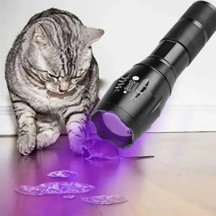 Portable UV Blacklight Flashlight with 395nm Wavelength for Pet Stain Detection 4