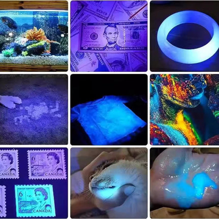 Portable UV Blacklight Flashlight with 395nm Wavelength for Pet Stain Detection 5