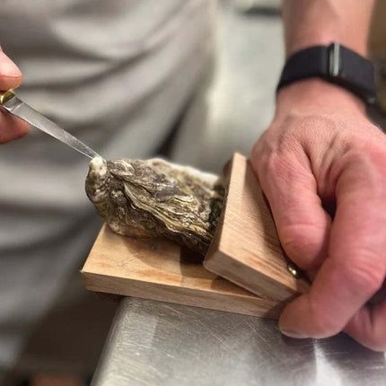 Oyster Shucker with Wooden Handle, Oyster Opener and Shucking Tool