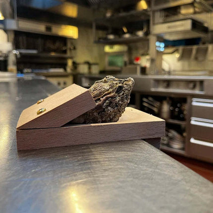 Oyster Shucker with Wooden Handle, Seafood Kitchen Gadget for Home Chefs