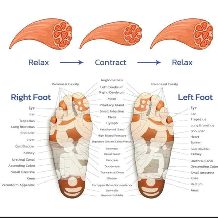 Pulse Pro™ | Foot Massager with NMES Technology for Instant Relief 6