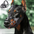 5lbs dog / Black rope