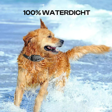 Remote Dog Training Collar | E Collar with 1000m Range & Waterproof Design | Customizable Stimulation for Effective Training 2