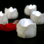 White / 12 candles