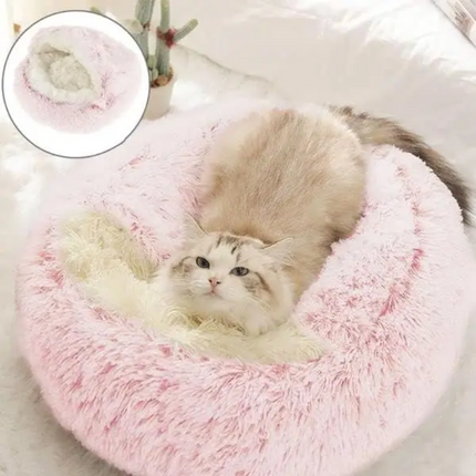 Covered Dog Bed – image 8