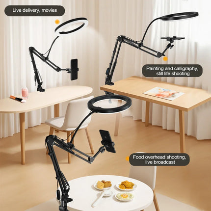 LED Ring Light with Phone Holder and Gooseneck Arm, Selfie Light with 3 Light Colors for Zoom and Live – 2