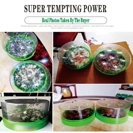 Outdoor Fly Trap for Garden and Barn – image 6