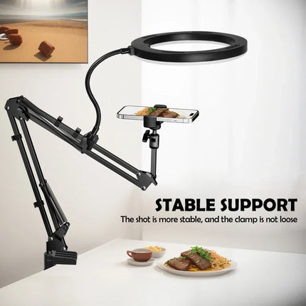 LED Ring Light with Phone Holder and Gooseneck Arm, Selfie Light with 3 Light Colors for Zoom and Live – 1