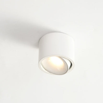 LED Flush Mount Ceiling Light, Round Ceiling Spotlight with Adjustable Head – image 12