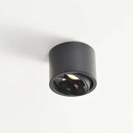 LED Flush Mount Ceiling Light, Round Ceiling Spotlight with Adjustable Head – image 20