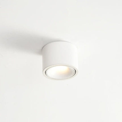 LED Flush Mount Ceiling Light, Round Ceiling Spotlight with Adjustable Head – image 14