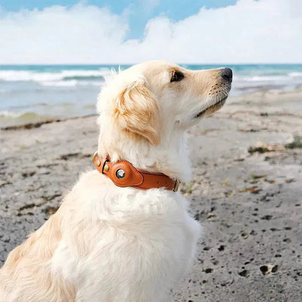 SafeTrack | Dog Collar with Eco-Friendly Leather & Waterproof Design | Comfortable Tracker Solution for Pet Safety 1