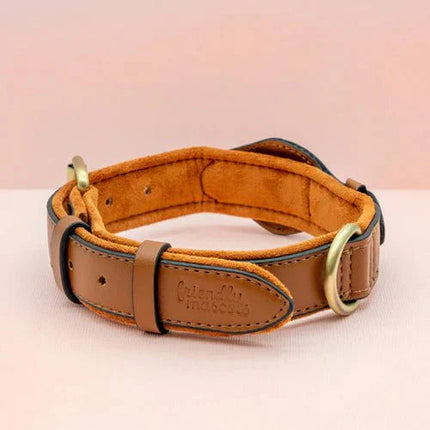 SafeTrack | Dog Collar with Eco-Friendly Leather & Waterproof Design | Comfortable Tracker Solution for Pet Safety 7