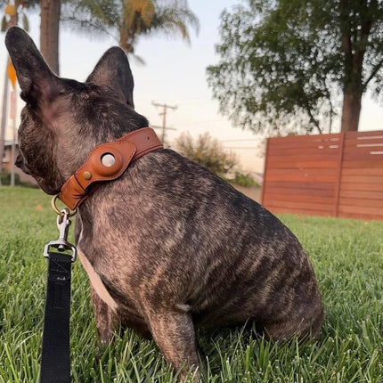 SafeTrack | Dog Collar with Eco-Friendly Leather & Waterproof Design | Comfortable Tracker Solution for Pet Safety 8