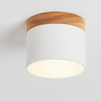 White / 3 Colors Changeable (Warm/Neutral/White)