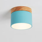 Blue / 3 Colors Changeable (Warm/Neutral/White)