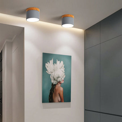 Scandinavian | Flush Mount Ceiling Light with 3-Color Switchable Feature | Compact Design for Ambient Illumination 4