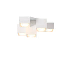 White 5 Heads / Neutral Light