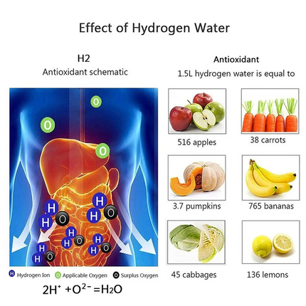 Antioxidant Water Bottle for Daily Hydration and Wellness – image 6