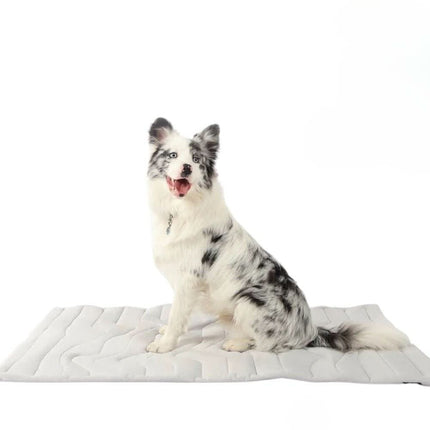 Self-Cooling Dog Mat with Automatic Cooling Technology | Portable & Lightweight for Instant Relief 0