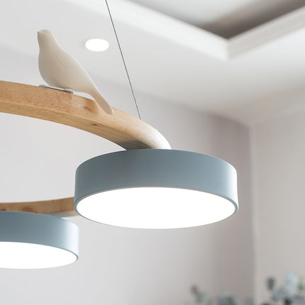 SiennaBird | Elegant Gold Modern Round Dining Room Chandelier 3