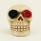 Dazzled skull