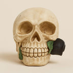 Skull with flowers