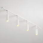 Large 4-lights: Diameter 59 in x H 11 in / White / Warm Light