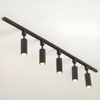 Large 5-lights: Diameter 59 in x H 11 in / Black / Warm Light