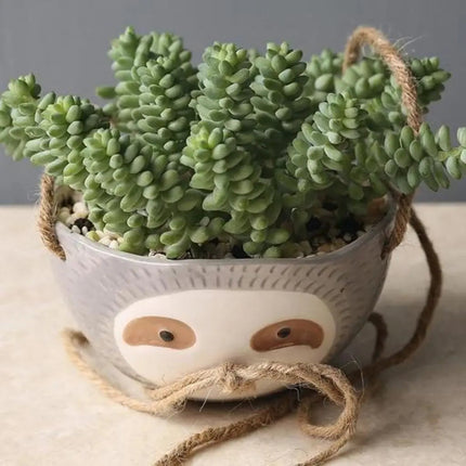 Sloth Indoor Planter, Hanging Planter with Rope – image 6