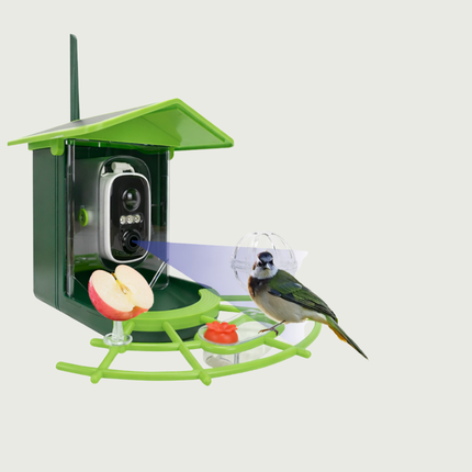 Smart Bird Feeder Camera | Outdoor HD Design with App Control for Enhanced Bird Watching 1