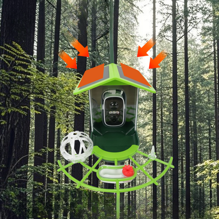 Smart Bird Feeder Camera | Outdoor HD Design with App Control for Enhanced Bird Watching 2
