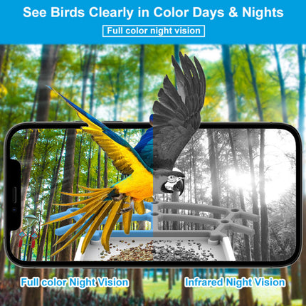 Smart Bird Feeder Camera | Outdoor Solar-Powered Device with HD Video Capture | Effortless Birdwatching for Nature Enthusiasts 1