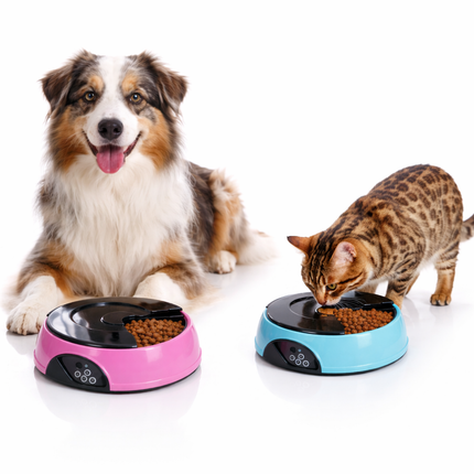 Smart Pet Feeder | Automatic Cat & Dog Feeder with Portion Control | Timed Meal Dispenser for Healthy Nutrition 1