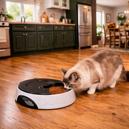 Smart Pet Feeder | Automatic Cat & Dog Feeder with Portion Control | Timed Meal Dispenser for Healthy Nutrition 3