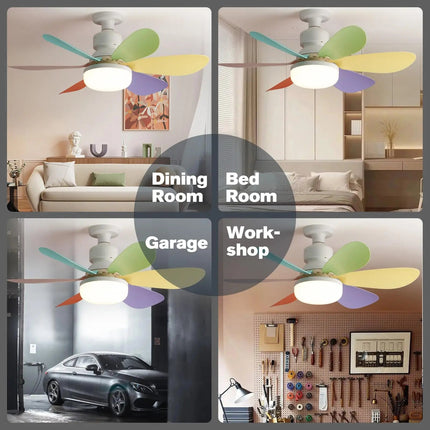 Stylish Modern Ceiling Fan with LED Light & Remote Control | Adjustable Color Temperature for Year-Round Comfort 5