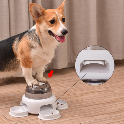 Automatic Pet Feeder with Adjustable Dispensing | Convenient Feeding Solution for Busy Dog Owners