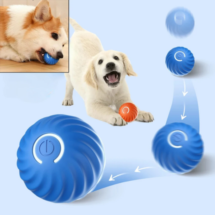 Smart Interactive Moving Ball Toy for Pets with USB Rechargeable Features | Durable Fun for Active Play and Exercise