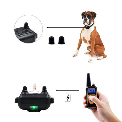 Training Collar for Hunting Dogs with Waterproof Design & Ergonomic Transmitter | Enhanced Control for Effective Training 3
