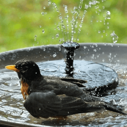 Tranquil Oasis | Solar-Powered Water Fountain with Adjustable Spray | Eco-Friendly Outdoor Decor 3