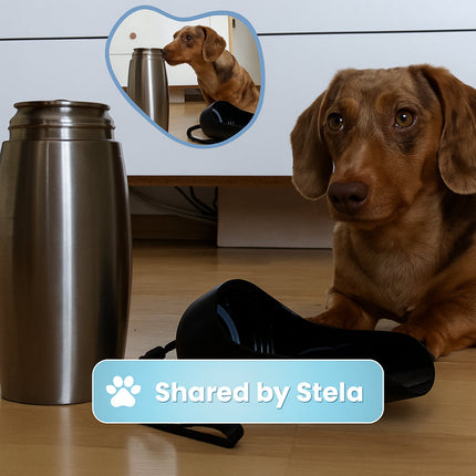 Travel Companion | Portable Dog Water Bottle with Insulated Design | Leak-Proof Dispenser for Outdoor Hydration 2